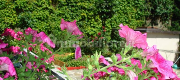 1 bedroom Apartment in Genoa, Italy No. 120092 17