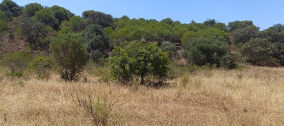 Terrain à Altura, Portugal 13480m² No. 58754 8