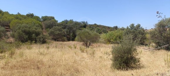 Terrain à Altura, Portugal 13480m² No. 58754 6