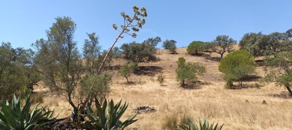 Terrain à Altura, Portugal 13480m² No. 58754 5