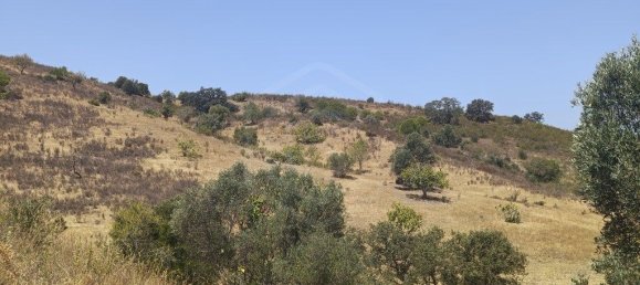 Terrain à Altura, Portugal 13480m² No. 58754 7