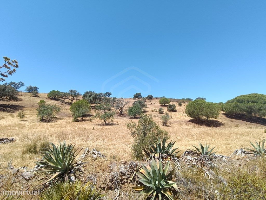 Terrain à Altura, Portugal 13480m² No. 58754