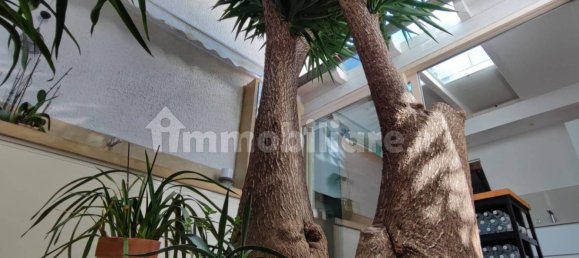 2 bedrooms Apartment in Montesilvano, Italy No. 41871 13