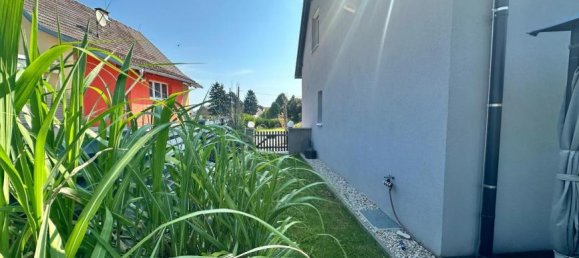 4-Zimmer Haus in Ladendorf, Austria, Nr. 220106 3