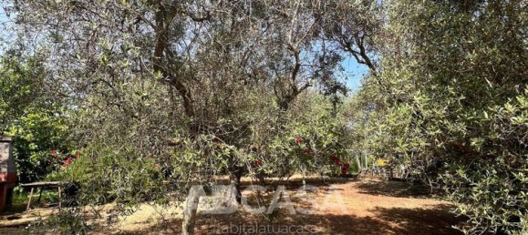 3 bedrooms House in Velletri, Italy No. 356426 12