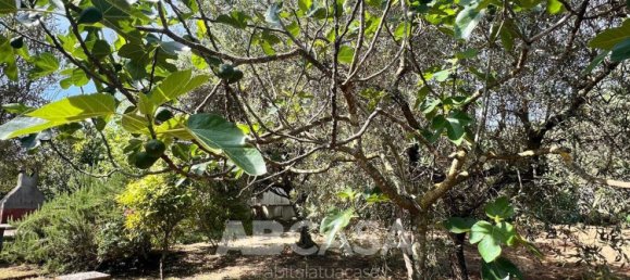 3 bedrooms House in Velletri, Italy No. 356426 7