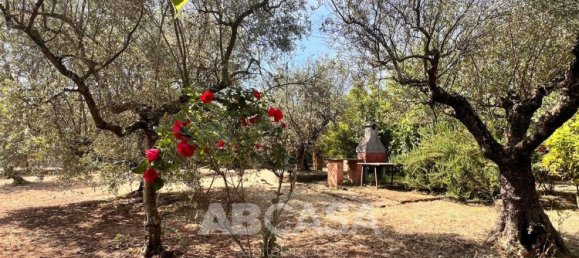 3 bedrooms House in Velletri, Italy No. 356426 5