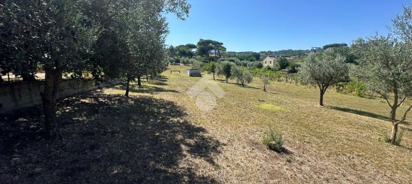 Земельный участок 4570м² в Рим, Италия № 353014 14