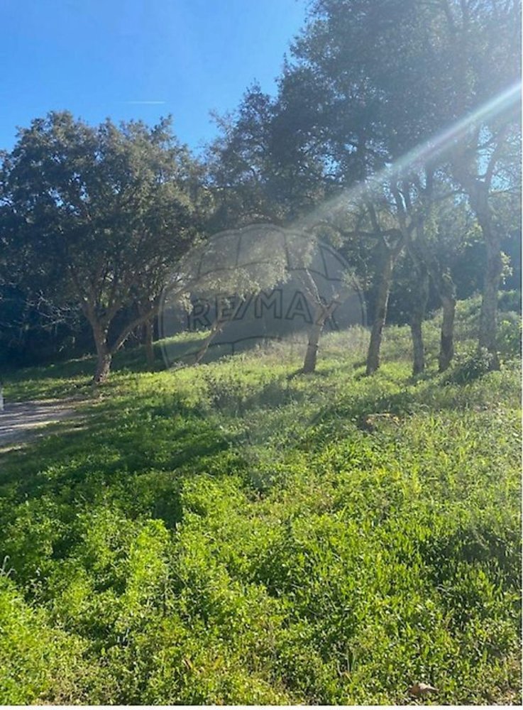  قطعة أرض في Ericeira, Portugal رقم 285782