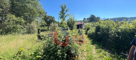 6 Schlafzimmer Haus in Celorico de Basto, Portugal, Nr. 203809 8