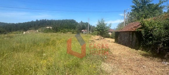 6 Schlafzimmer Haus in Celorico de Basto, Portugal, Nr. 203809 7