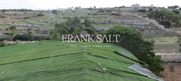 3 bedrooms Farm in Birzebbuga, Malta No. 211 19