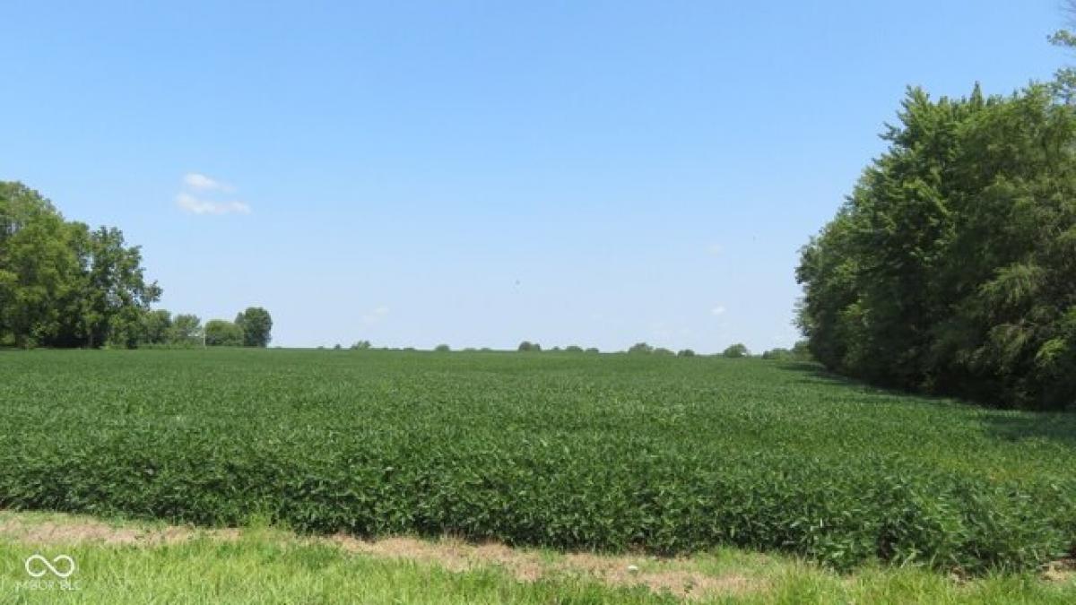  Land in Crawfordsville, USA No. 537612