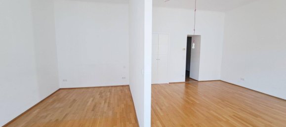 Studio à Wieden, Austria No. 8081 2