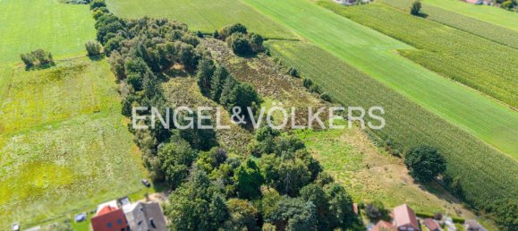 Casa T3 em Leer, Germany N.º 307689 2