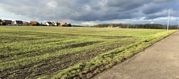 Terrain à Saalekreis, Germany No. 269082 4