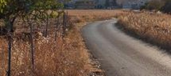 Земельный участок 8000м² в Мезанье, Италия № 281321 3