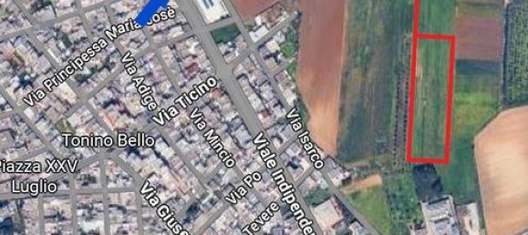 Земельный участок 8000м² в Мезанье, Италия № 281321 4