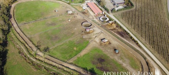 27-Zimmer Haus in Castelnuovo Berardenga, Italy, Nr. 56464 80