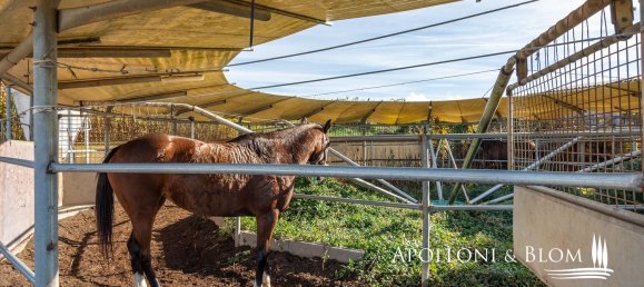 27-Zimmer Haus in Castelnuovo Berardenga, Italy, Nr. 56464 29
