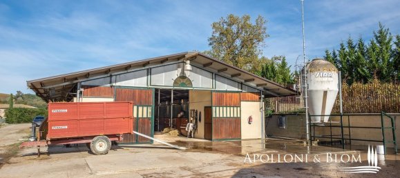 27-Zimmer Haus in Castelnuovo Berardenga, Italy, Nr. 56464 73