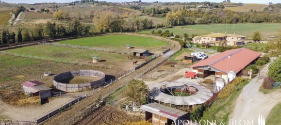 27-Zimmer Haus in Castelnuovo Berardenga, Italy, Nr. 56464 16