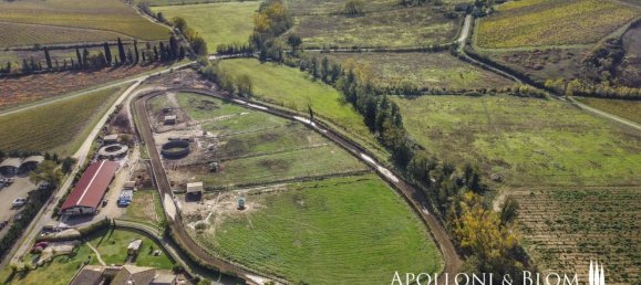 27-Zimmer Haus in Castelnuovo Berardenga, Italy, Nr. 56464 27