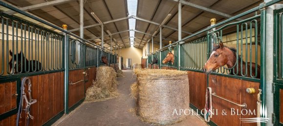 27-Zimmer Haus in Castelnuovo Berardenga, Italy, Nr. 56464 11