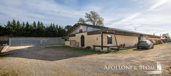 27-Zimmer Haus in Castelnuovo Berardenga, Italy, Nr. 56464 66