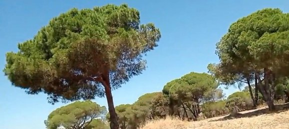  قطعة أرض في Ravensburg, Germany 80000متر مربع رقم 258962 2