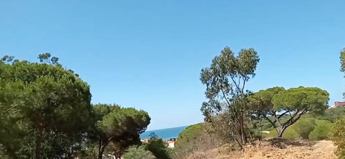  قطعة أرض في Ravensburg, Germany 80000متر مربع رقم 258962