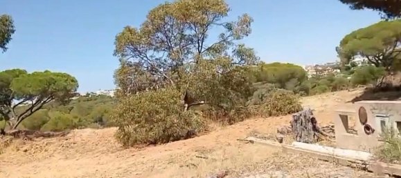  قطعة أرض في Ravensburg, Germany 80000متر مربع رقم 258962 3