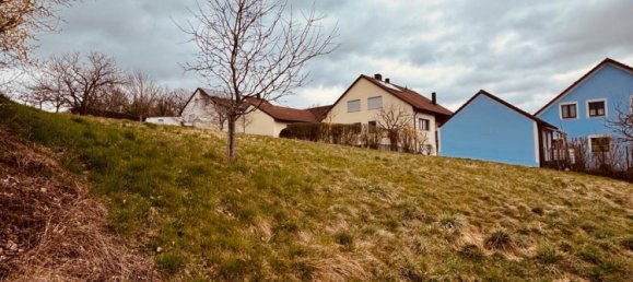  Land in Neustadt an der Waldnaab, Germany No. 270287 5