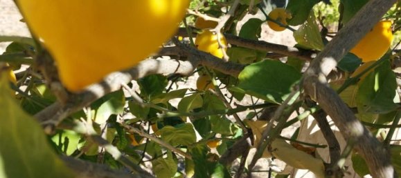 3 bedrooms House in Alhama de Murcia, Spain No. 156218 44