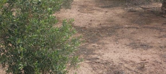 3 bedrooms House in Alhama de Murcia, Spain No. 156218 30