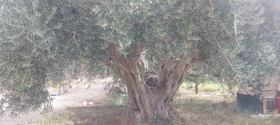 3 bedrooms House in Alhama de Murcia, Spain No. 156218 43