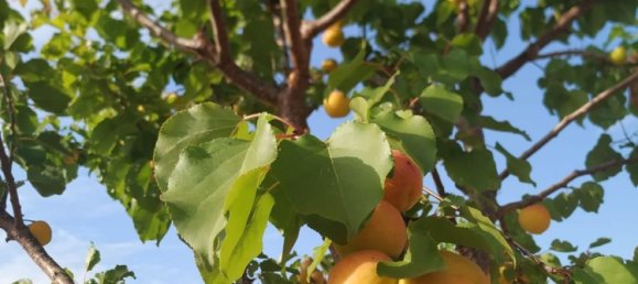 3 bedrooms House in Alhama de Murcia, Spain No. 156218 45