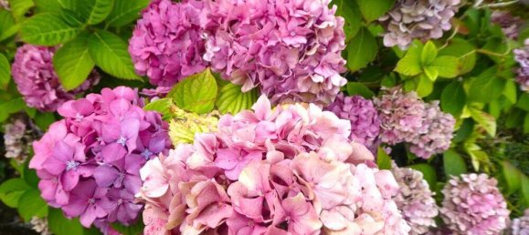 Terreno em Ludwigsburg, Germany N.º 316068 8