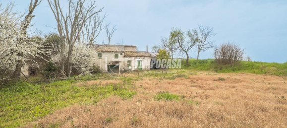 8 rooms House in Montegridolfo, Italy No. 130812 16