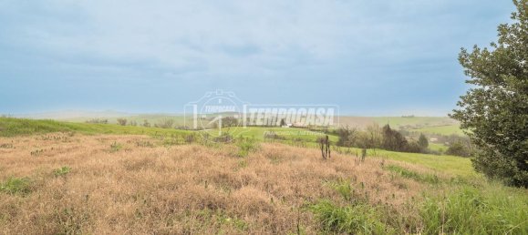 8 rooms House in Montegridolfo, Italy No. 130812 18