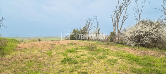 8 rooms House in Montegridolfo, Italy No. 130812 12