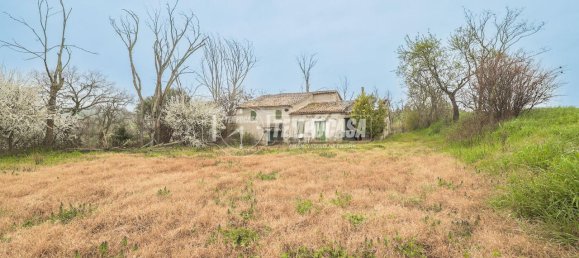 8 rooms House in Montegridolfo, Italy No. 130812 14
