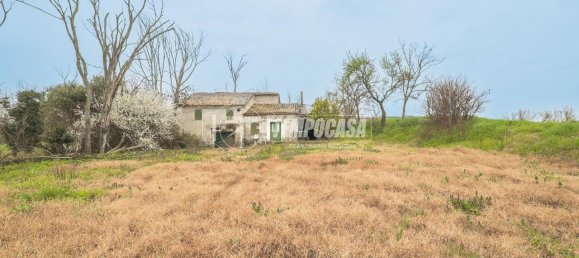 8 rooms House in Montegridolfo, Italy No. 130812 15
