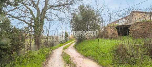 8 rooms House in Montegridolfo, Italy No. 130812 5