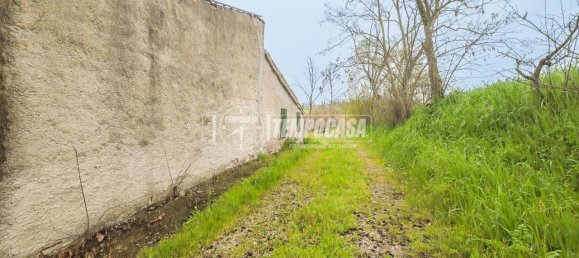 8 rooms House in Montegridolfo, Italy No. 130812 11