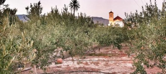 قطعة أرض في Almeria, Spain 6711متر مربع رقم 187242 8