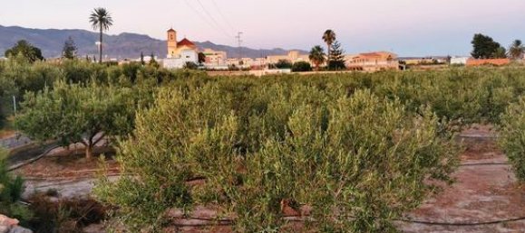 قطعة أرض في Almeria, Spain 6711متر مربع رقم 187242 6