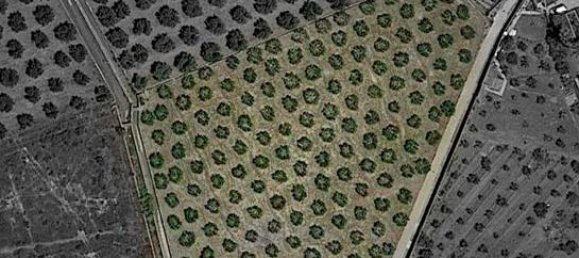 قطعة أرض في Almeria, Spain 6711متر مربع رقم 187242 2