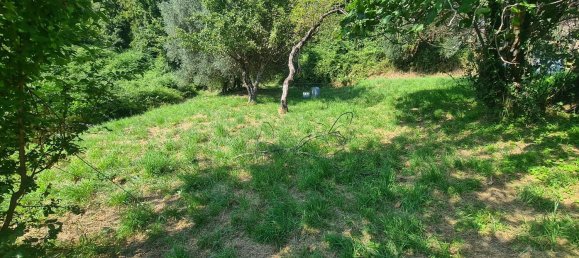 4 Schlafzimmer Haus in Biella, Italy, Nr. 376469 26