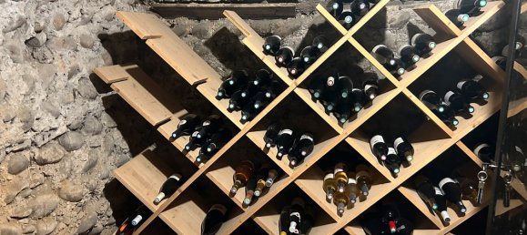 5 Schlafzimmer Haus in Isere, France, Nr. 288334 6